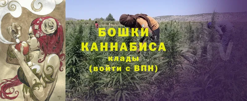 МАРИХУАНА White Widow  Благодарный 